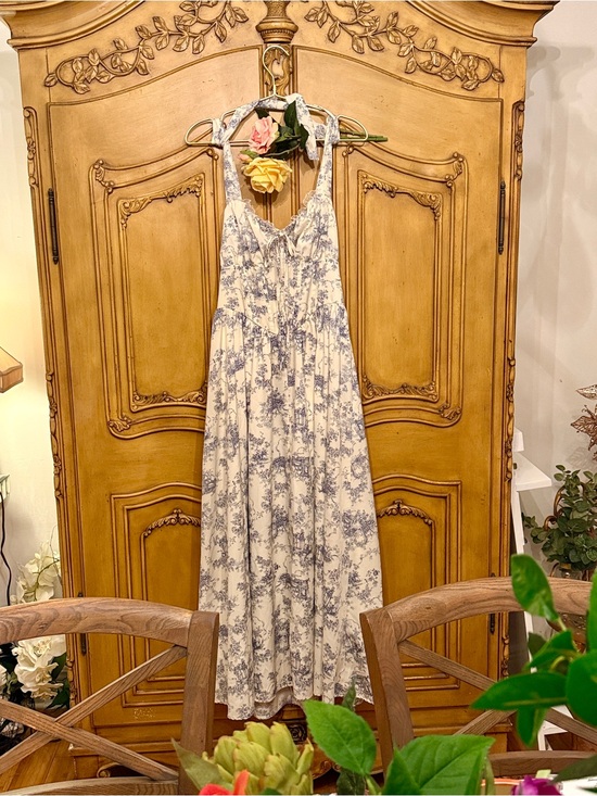 Dresses & Skirts - Light Cream & Blue Toile Halter Maxi Dress